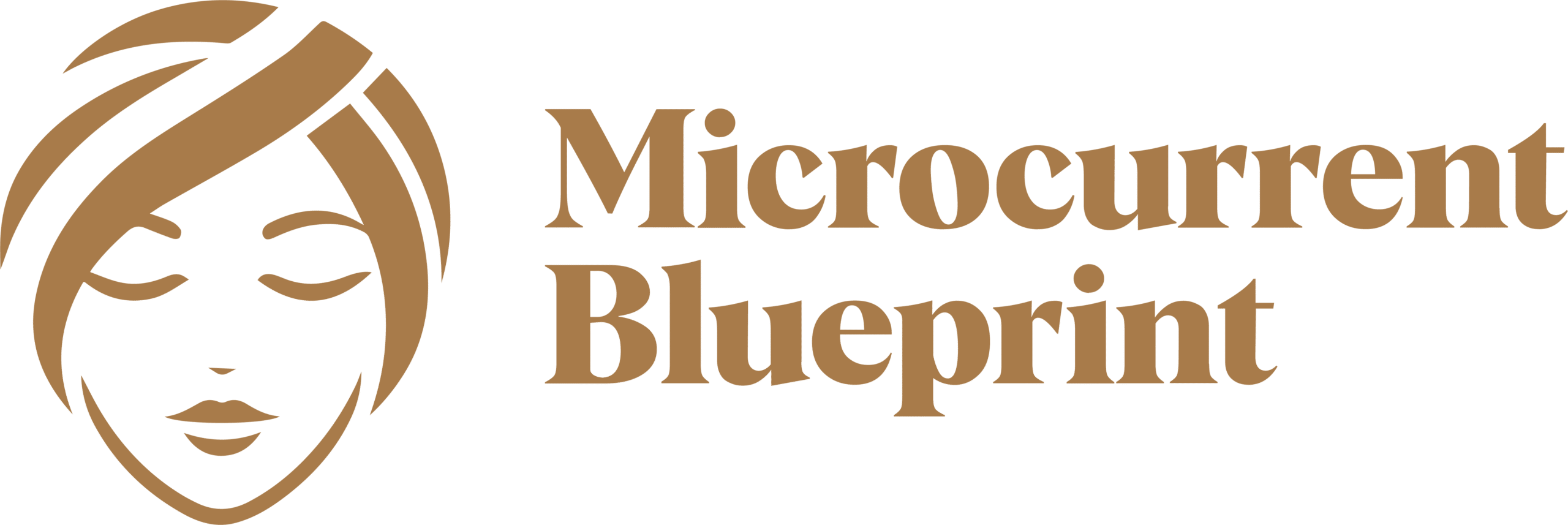 Microcurrent Blueprint 